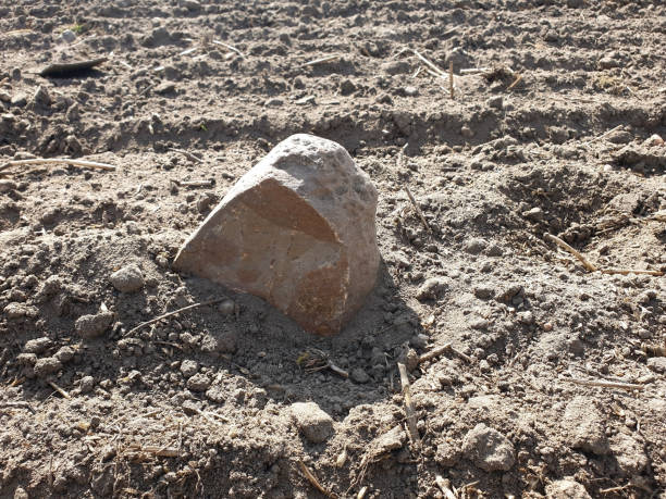 Boulder stone in the field