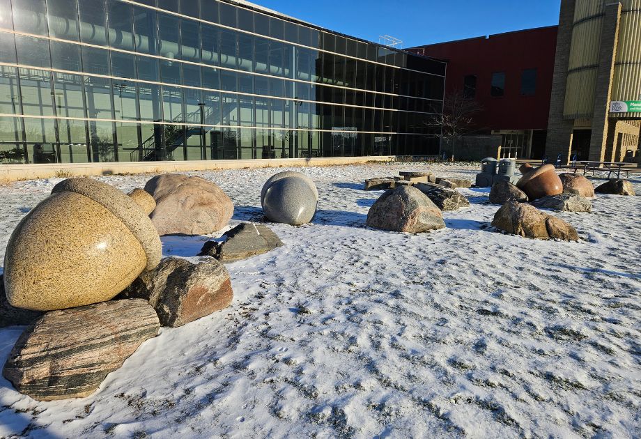 Rim Park Granite Stone Acorns in winter