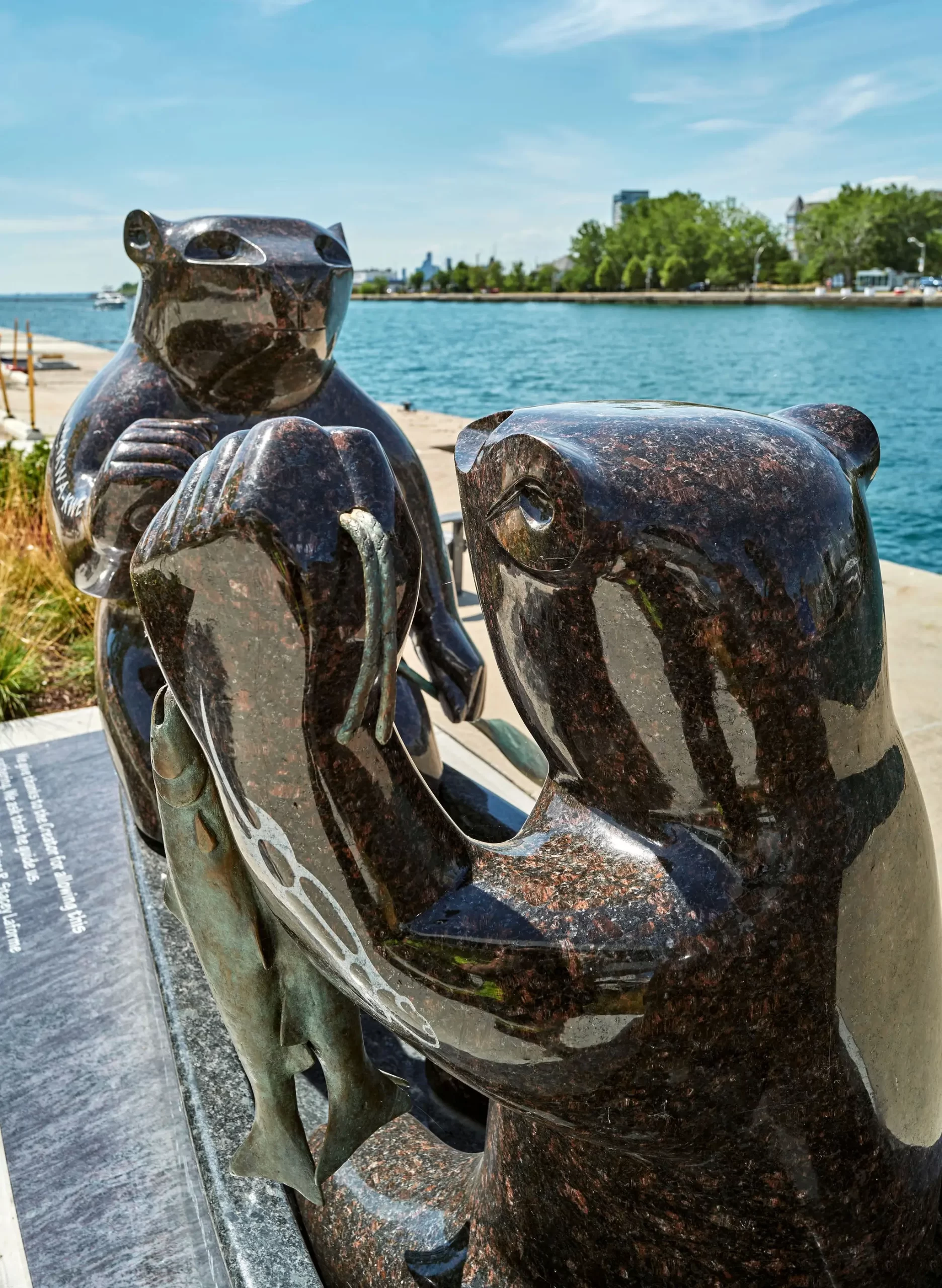 front view of maanjidowin