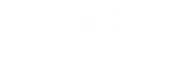 Trinity Custom Masonery Logo
