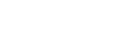 ALC logo