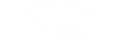 sdg logo